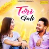 Teri Gali